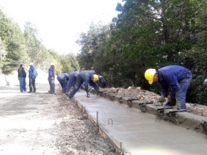 Ruta al Lago - Parque Los Alerces (2)-1