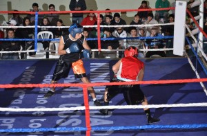 Boxeo Senguerr
