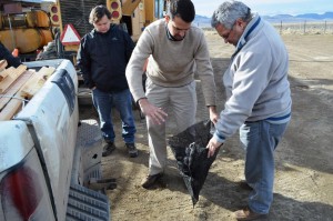 CORFO, Capacitacion en Colan Conhue 4