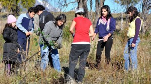 Archivo-Jornadas forestales