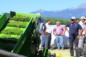 CROFO Chubut. Trevelin (4)