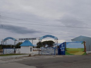 Festival Esquila 2015