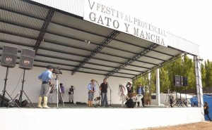 Festival gato senguer balance