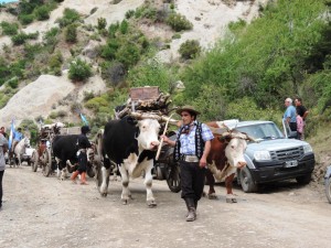 Fiesta del Carrero (6)