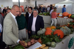 expo rural sarmiento3