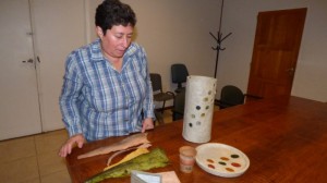 artesana de sarmiento