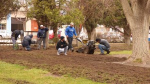 Sarmiento -Re forestacion