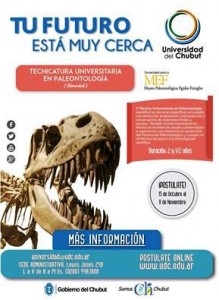 Paleontologia. UDC. MEF