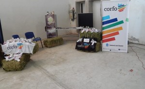 Corfo expo rural Sto