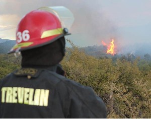 Incendio cordillera 2016