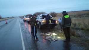 pesca-ilegal-operativo