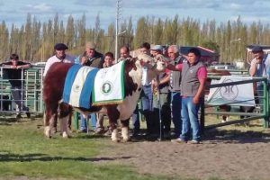 expo-hereford-sarmiento