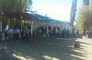 crimensarok